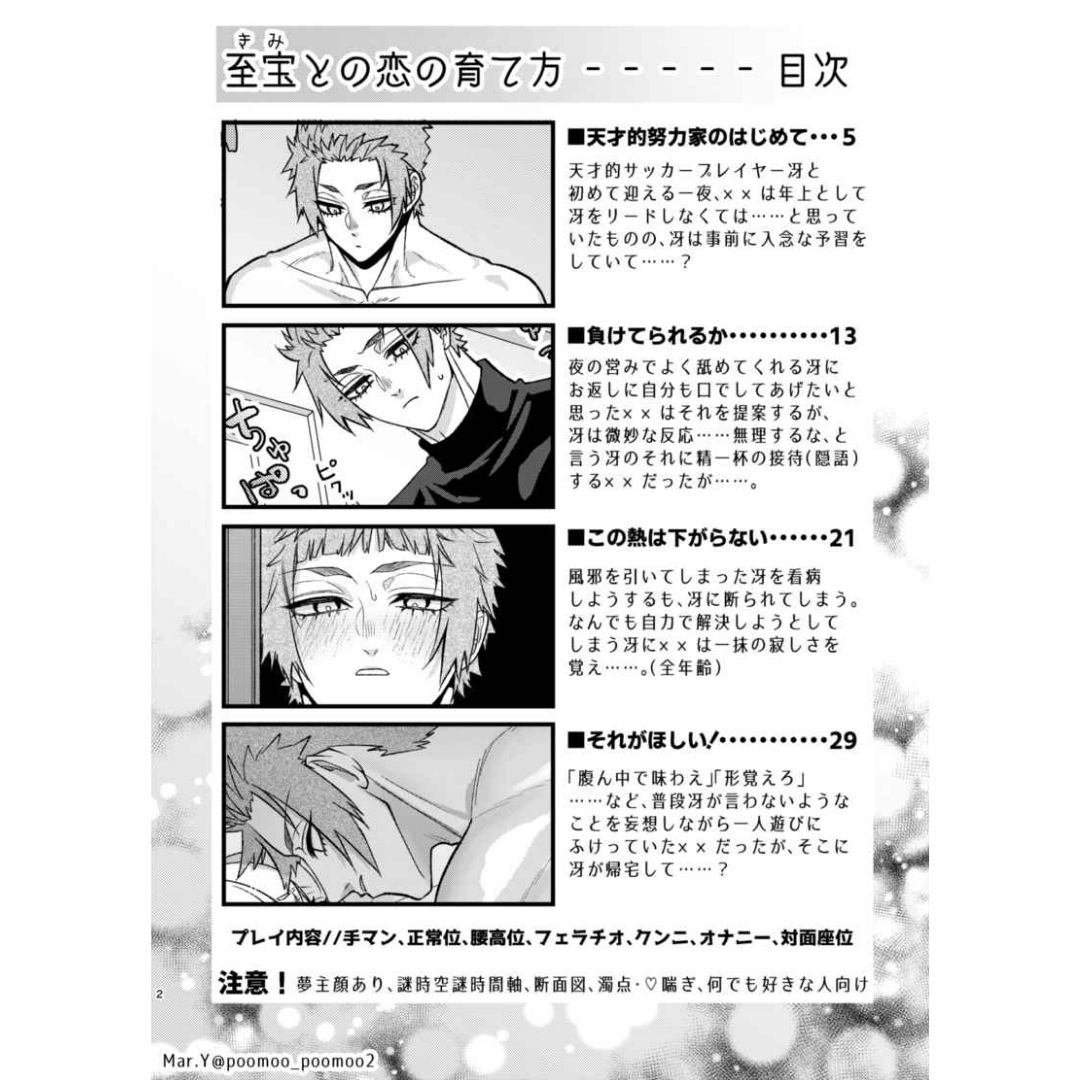 Doujinshi Blue Lock How to Develop a Love for Your Treasure (A5 36p)