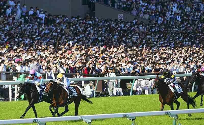 BLOG-7 Fakta Pacuan Kuda di Jepang