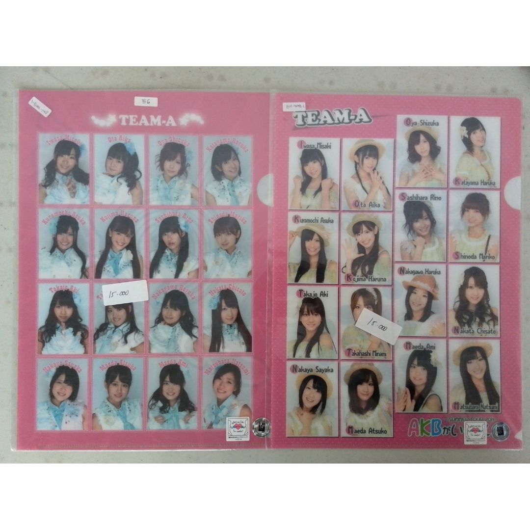 AKB48 Clear File Set Eksklusif - Koleksi Lengkap 12 Tipe Berbeda!