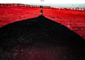 Masaki Suda - SPIN (Regular Edition) 2024