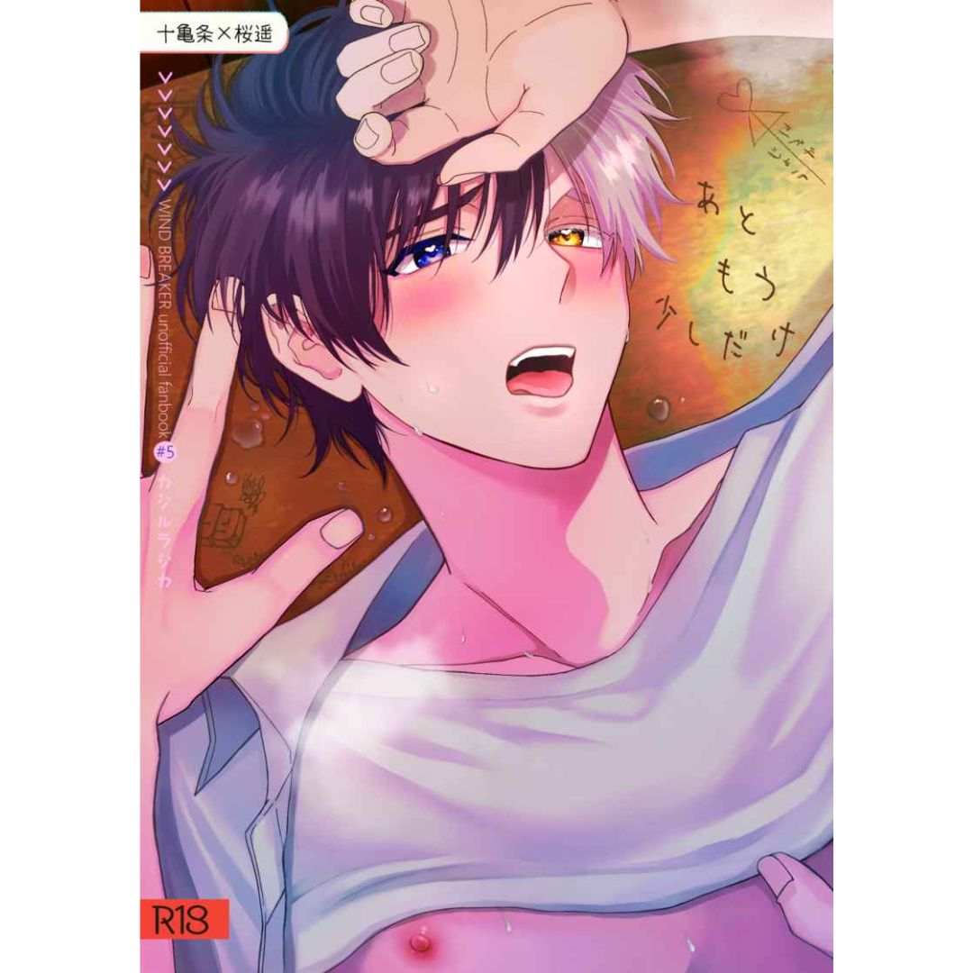 Doujinshi Wind Breaker Just a Little More