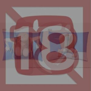 Pillowcase Wilhelmina Brown Dust 2 3D