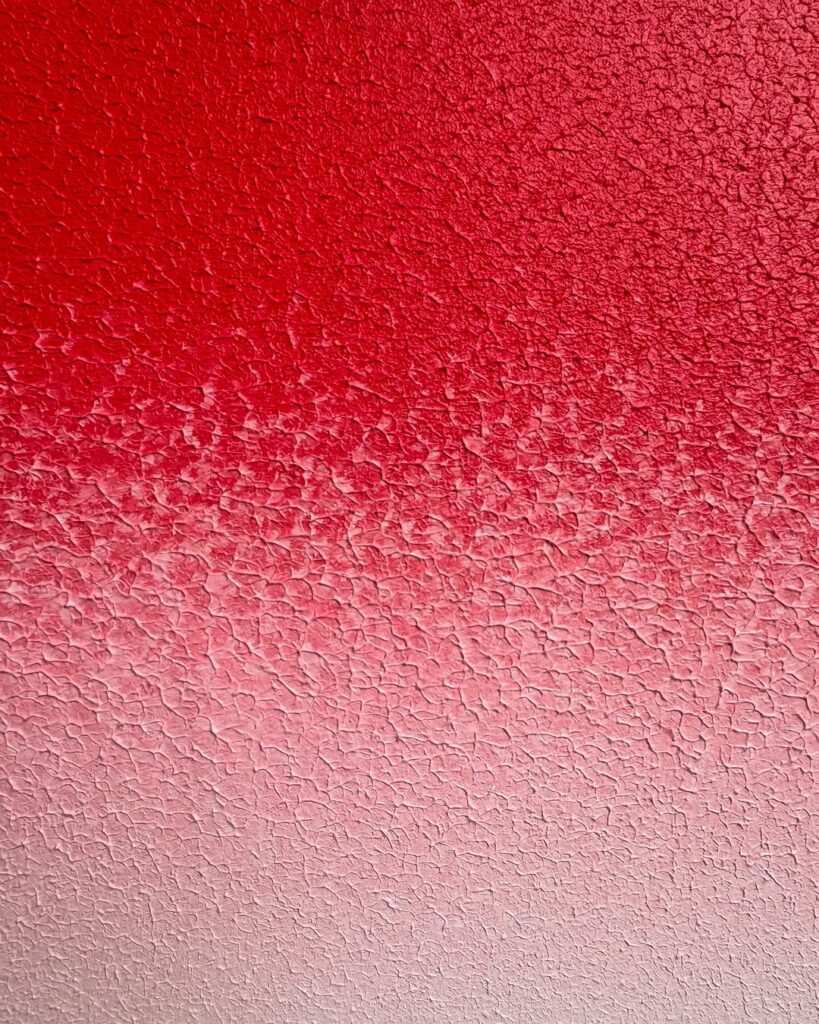 TITIP JEPANG - TITIPJEPANG - SHO SHIBUYA - THE NEWYORK TIMES - AFFAN KURNIAWAN - DEMONSTRASI DI INDONESIA - DEMO 28 AGUSTUS 2025