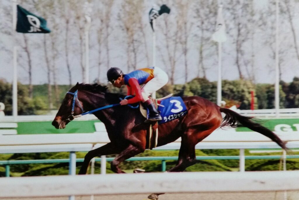 TITIPJEPANG - TITIP JEPANG - UMA MUSUME - UMA MUSUME: PRETTY DERBY - UMA MUSUME SEASON 2 - RICE SHOWER - RICE SHOWER UMA MUSUME - RICE SHOWER IRL HORSE - RICE SHOWER ANIME - ライスシャワー