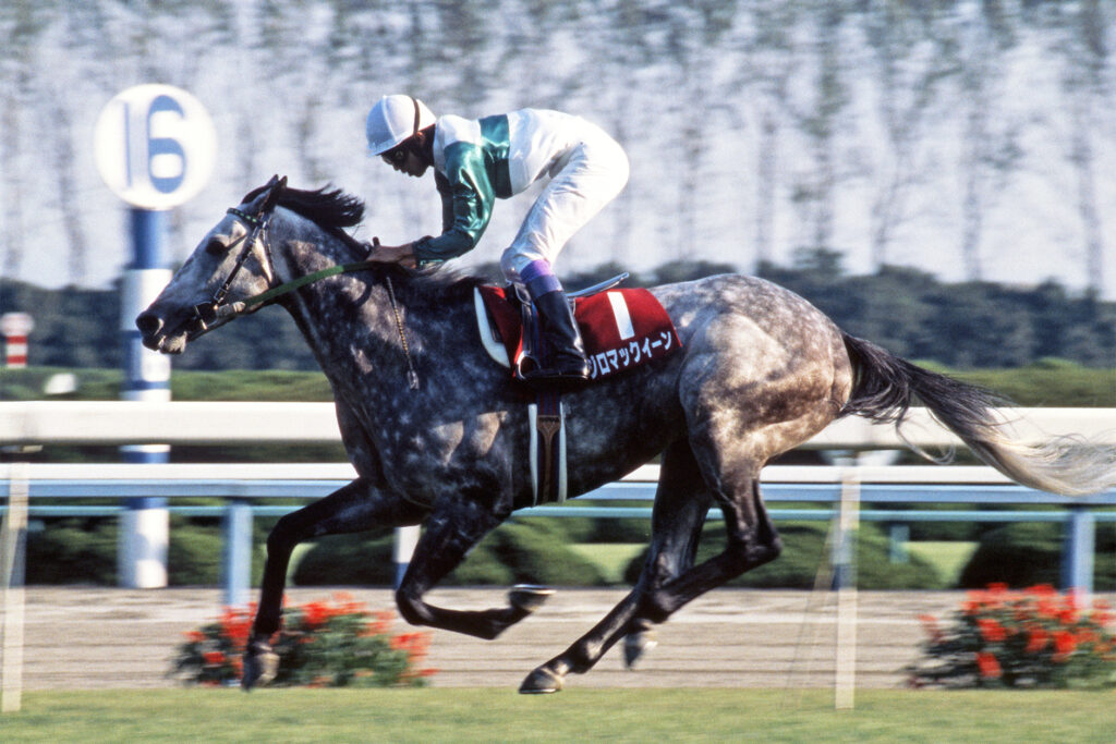 TITIPJEPANG - TITIP JEPANG - UMA MUSUME - UMA MUSUME SEASON 2 - UMA MUSUME: PRETTY DERBY - MEJIRO MCQUEEN - MEJIRO MCQUEEN IRL HORSE