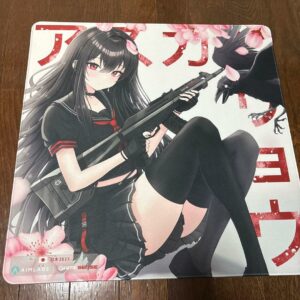 Gamesense×Aimlabs Radar Asuka Ryo