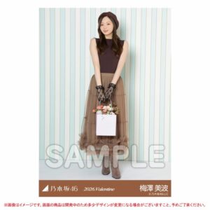 Individual Photo Set of 5 / Valentine's Day Minami Umezawa