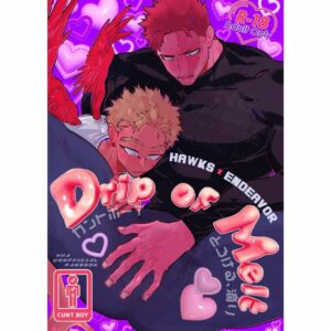 Doujin My Hero Academia Drip of Melt A5 36p Hawks Endeavor Story